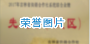 荣誉图片.png